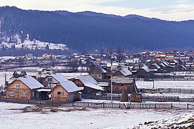 仙踪林老狼最新版本更新内容|《仙踪林老狼》最新版本震撼来袭:全新角色、优化界面,畅享游戏新体验-1