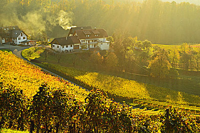 给大家科普一下男生女生一起轮滑板2023｜轮滑情缘，共筑青春快乐时光-2