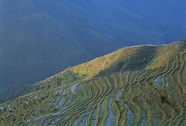 lutube轻量版｜lutube轻量版引领视频编辑新潮流：高效便捷，创作无忧-2