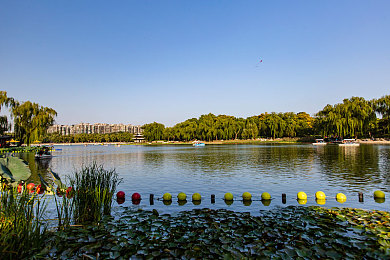 张柏芝用嘴让陈冠希爽|激情四溢,明星互动,体验虚拟激情冒险之旅-1