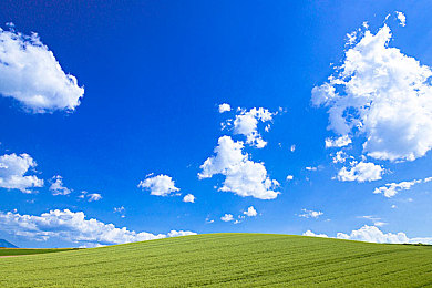 黄污app｜抵制黄污应用，共同守护网络清朗环境