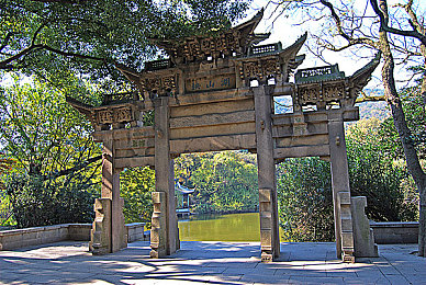 性别 凸轮 管 分类 性别 管|性别分类革新,凸轮管助力公平未来-1