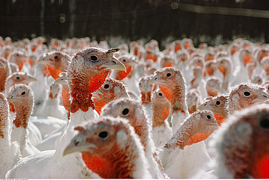 帅气gary体育生网站mv网站｜运动新体验：帅气Gary体育生网站引领娱乐健身潮流