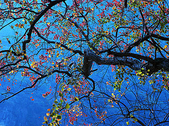 管鲍中心分拣中心官网｜管鲍中心官网：物流“大脑中枢”助力行业高效发展，好评如潮