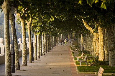 异星觉醒2入侵地球|异星觉醒:地球反击,神秘之战-1