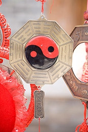 羞羞漫画免费登录页面在线看｜漫游青年文化，尽享热血漫画盛宴-2