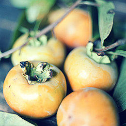 芭乐视下载app下载官网安卓|芭乐新视界,安卓观影新体验,海量影视随心享-2