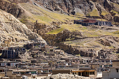 史莱姆钻进胡桃的肚子变大｜史莱姆钻胡桃壳变大的神奇现象，揭秘生物奥秘引热议