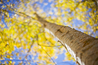 我秀美女直播｜我秀美女直播：揭秘视觉盛宴的演变之旅，全民关注的美女主播新篇章-1