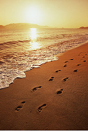 吃瓜有理,爆料无罪,稀有视频｜真相探秘：稀有视频，知情权守护者-3