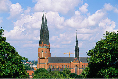 黄色软件大全｜清朗网络，共筑绿色游戏世界，揭秘“黄色软件大全”事件真相-1