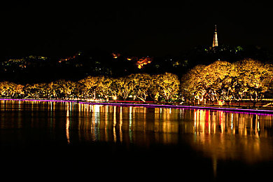 女人与公牛一级毛片|人与动物之间奇妙互动的探索与反思-3