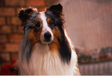 葫芦里不卖药千万影片大吉｜探寻“葫芦里不卖药”之谜，揭秘影视经典诞生之谜-2