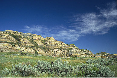 孕妇特黄A一区二区｜孕期奇遇：特黄A一区二区，展现孕期生活独特风采-1