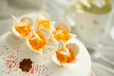 法国人与动物logo｜探寻法国风情：动物logo里的浪漫与文化符号-1