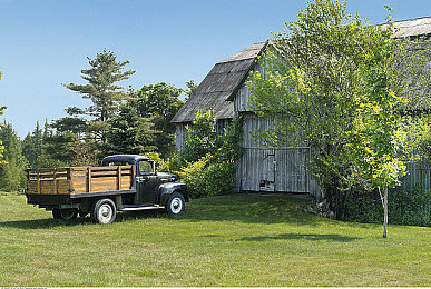 淑婷公欲息肉婷在厨房｜厨房精灵：淑婷公欲息肉婷，烹饪乐趣无限