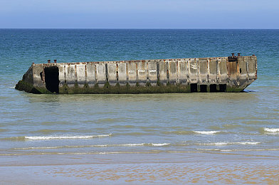 激情四房｜色彩交织，生活焕新：激情四房，品味人生盛宴