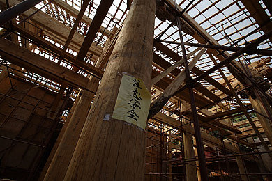 拉大车的小马我的妈妈游戏的玩法｜“寓教于乐新宠诞生：揭秘“拉大车的小马我的妈妈”游戏的教育魅力”