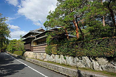 91吃瓜黑料|社交热潮中的秘密探索与真相较量-2