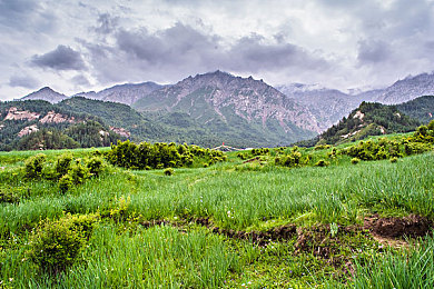 免费看美女隐私直播｜“揭秘免费看美女隐私直播：网络监管漏洞与隐私权争议引发社会关注”-1