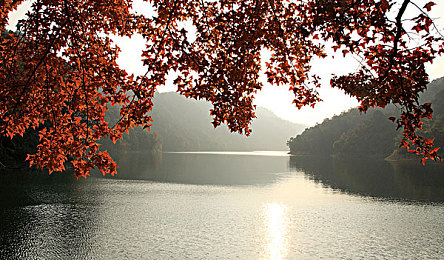 palipali@pali.love2.3.5｜网络守护者：隐私防线，智慧守卫-1