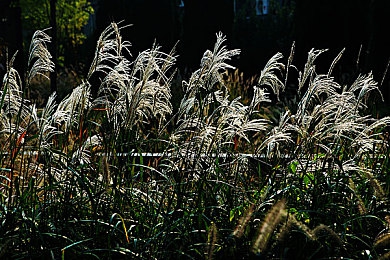 万篇长征zztt黑暗传送门2024｜时空穿梭：万篇长征zztt黑暗传送之旅-1