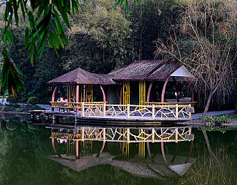 污秽软件｜揭秘暗影：隐私守护者的游戏冒险-1