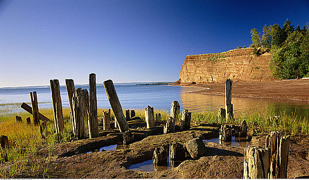 免费抖淫｜《全民抖淫》狂欢来袭：揭秘社交游戏新潮流，趣味互动挑战无限-2