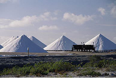 色综合色综合网色综合｜色彩盛宴，探索视觉奥秘的色综合之旅-3