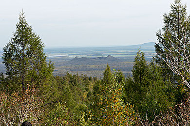 护士医生性FreeXXX｜医疗防线：守护患者权益，揭秘性骚扰真相