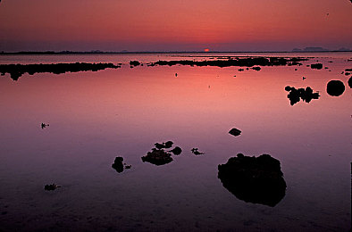 搓澡Gay·2020·com|搓澡文化新天地,网络社区暖人心-1