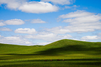 40岁少妇推油七次高潮|“40岁少妇按摩七次高潮引热议:探讨按摩行业规范与女性心理健康”-1