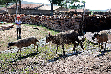 免费剧烈运动扑克视频|扑克牌动起来,健身娱乐两不误-1