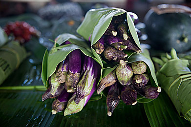 张柏芝27张木耳图片｜张柏芝木耳风采：27图集见证星范永恒魅力-2