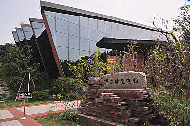 9分10秒落地窗头撞玻璃｜高空坠落9分10秒，生命瞬间陨落，安全警钟长鸣-2