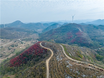 女班长去体罚室里光着屁股被打｜校园体罚悲剧：女班长光屁股受辱，教育改革刻不容缓-1