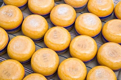 色蜜桃｜色蜜桃传奇：夏日甜蜜大冒险-2