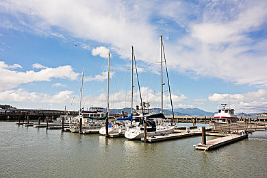 异类ZoZ0女人与善交｜解锁社交魅力：异类ZoZ0女性的独特人际艺术-3