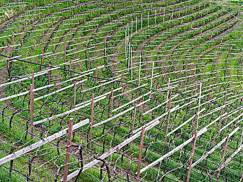 3dmax漫画｜三维绘梦之旅，3Dmax漫画开启视觉新纪元-1