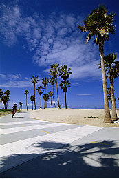 公交车上的诗请和小诗的背景故事背景介绍｜公交车上诗意涌动：城市风景线中的文学魅力