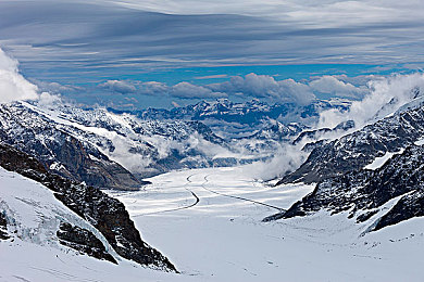 福建导航福建大菠萝官网下载网站|寻味福建,大菠萝美食之旅-3