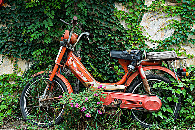 粉色苏州晶体｜苏州“粉色晶体”梦幻亮相，传统与现代碰撞演绎视觉盛宴-2