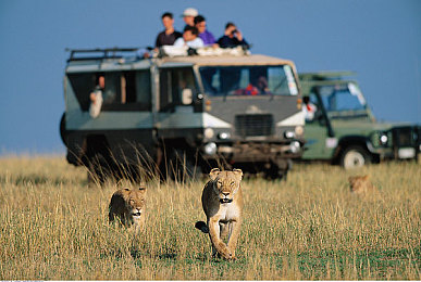 海棠直播|海棠直播崭露头角:创新平台引领直播行业新风尚-1