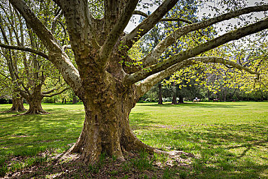 oppo黄色软件下载｜揭秘Oppo：下载风波中的软件安全之旅-1
