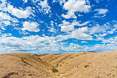 99re这里都是精品｜穿越幻域，打造独属英雄，探寻99re精品之旅-3