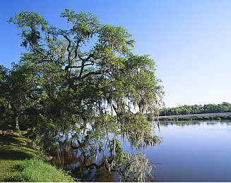 血腥网站｜网络毒瘤亟待根除，守护青春净土-2