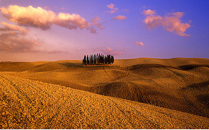 夜色直播｜夜色直播：新兴电商营销风口下的机遇与挑战解析-1