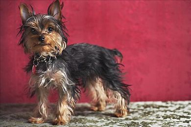 男生把 放进男生 里网站｜探索互动新天地：揭秘“男生把 放进男生 里”网站的魅力-2