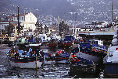 好大好爽 深一点 羞羞|体验极致欢愉:揭秘“好大好爽 深一点 羞羞”产品独特魅力-2