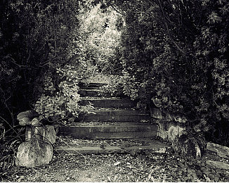 向日葵色板｜街头艺术新宠：向日葵色板点亮城市文化潮流-3